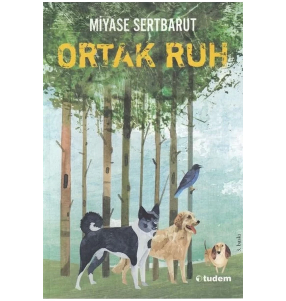 Sisin Sakladıkları-2 Ortak Ruh  Miyase Sertbarut  Tudem