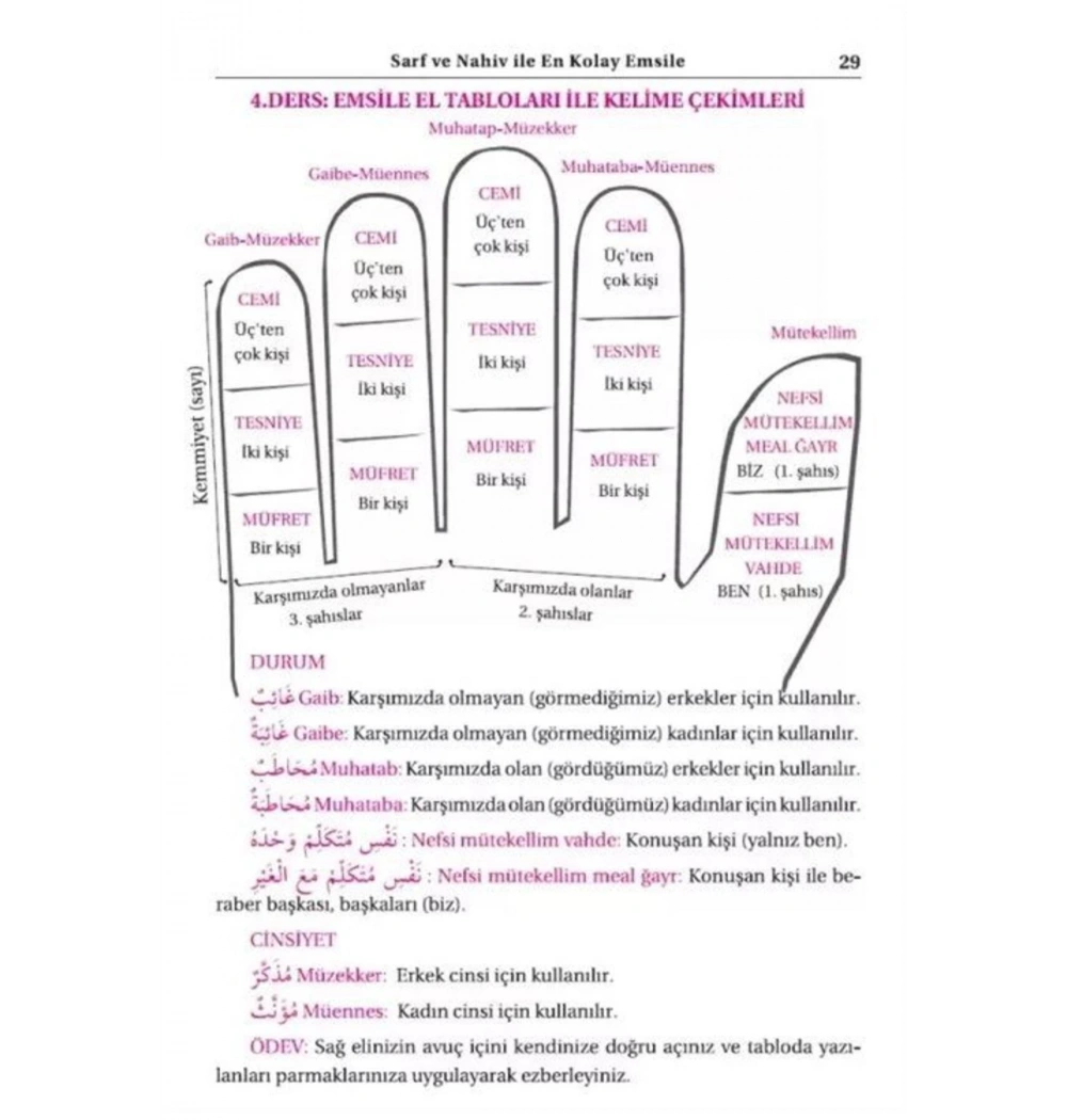 Geniş İzahlı Sarf Ve Nahiv Emsile-Bina-Maksut-Avamil Gülüstan Coşkun 2.Hm Ciltli Kitap Kal