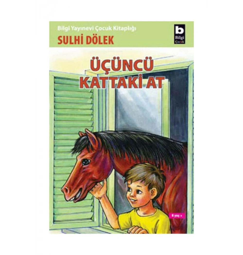 Üçüncü Kattaki At    Sulhi Dölek      Bilgi
