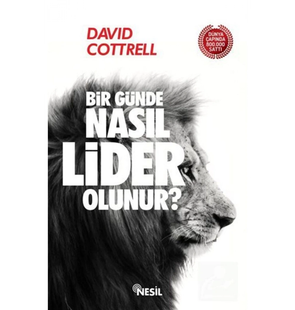 Bir Günde Nasıl Lider Olunur Davıd Cottrell Etkileşim Yayın