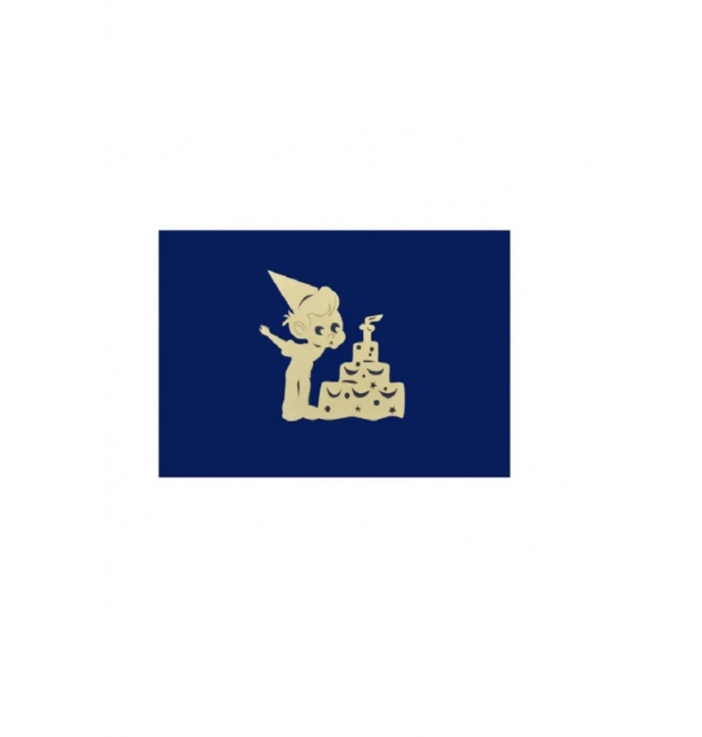 Esseniro 3D Kart  Erkek Çocuk Ve Pasta Kod:Dg03