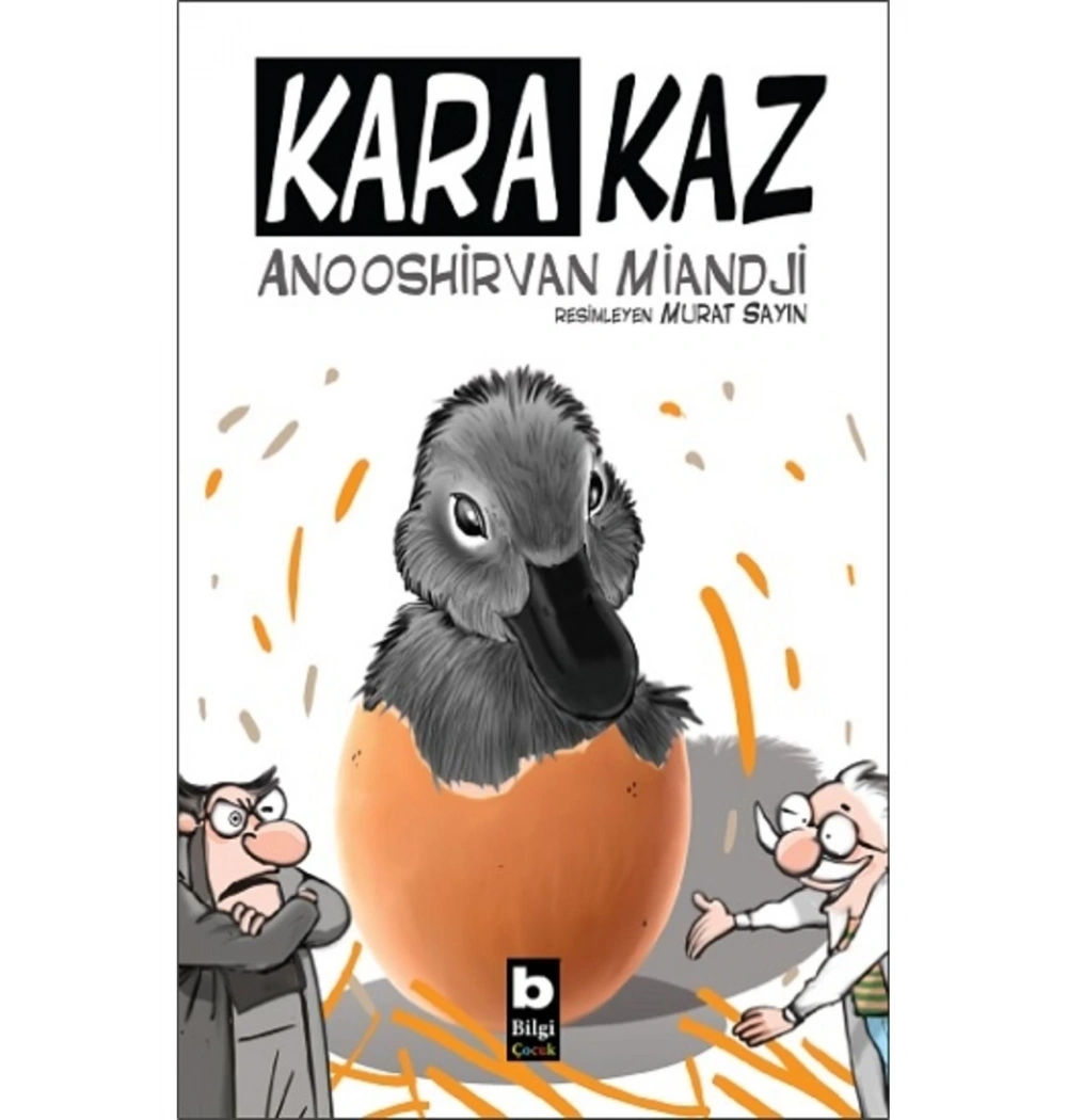 Kara Kaz  Anooshirvan Miandji  Bilgi Yayın