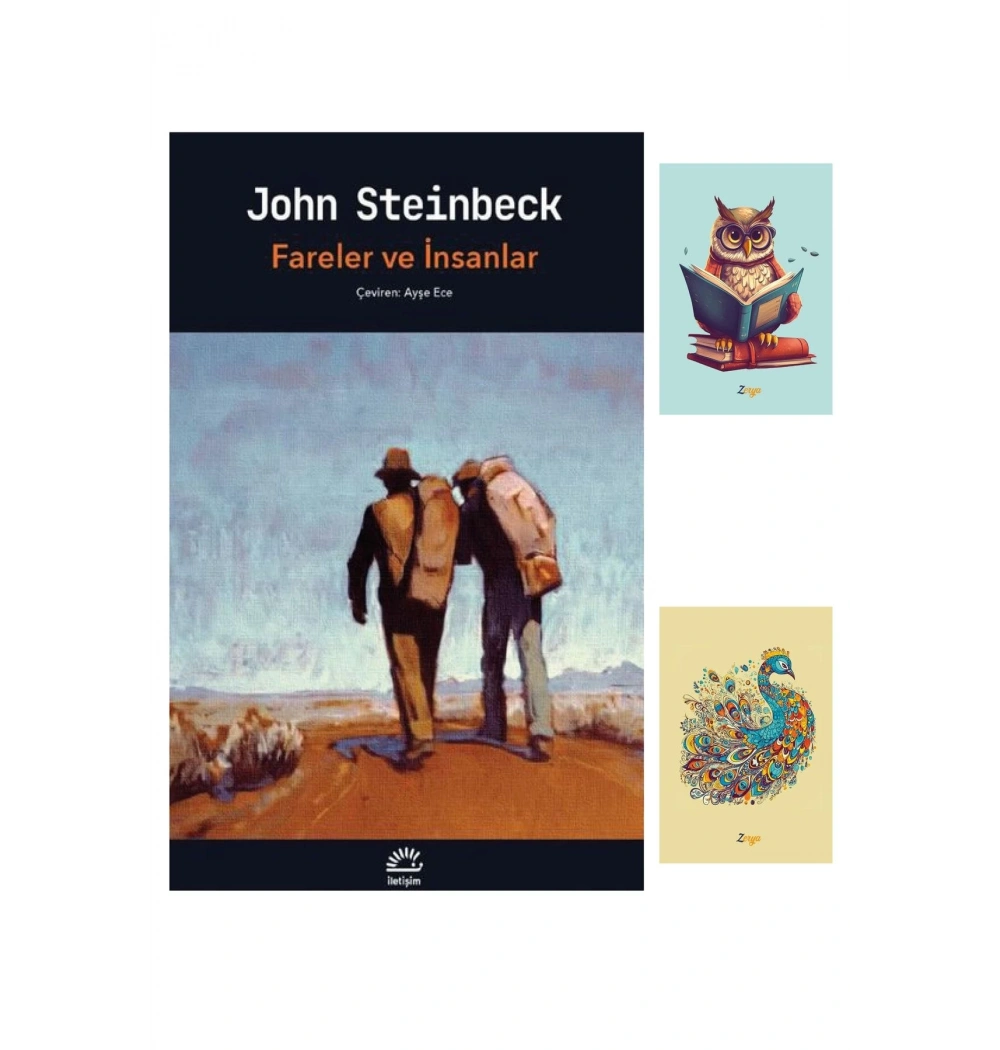 Fareler Ve İnsanlar  John Steinbeck  İletişim