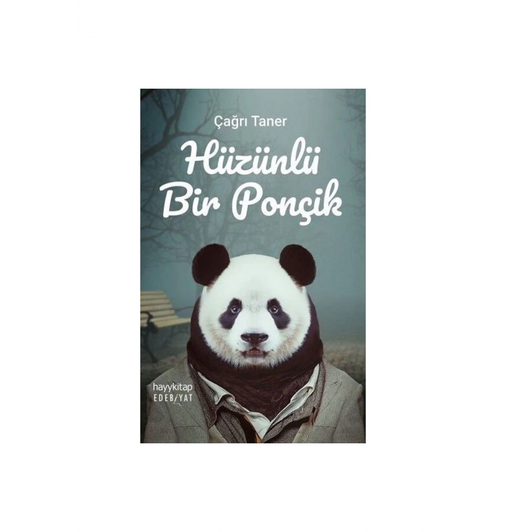 Hüzünlü Bir Ponçik Hayy