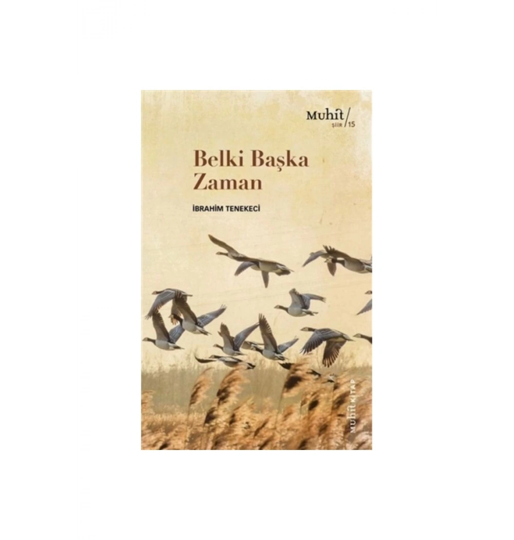 Belki Başka Zaman -Şiir-   İbrahim Tenekeci  Muhit