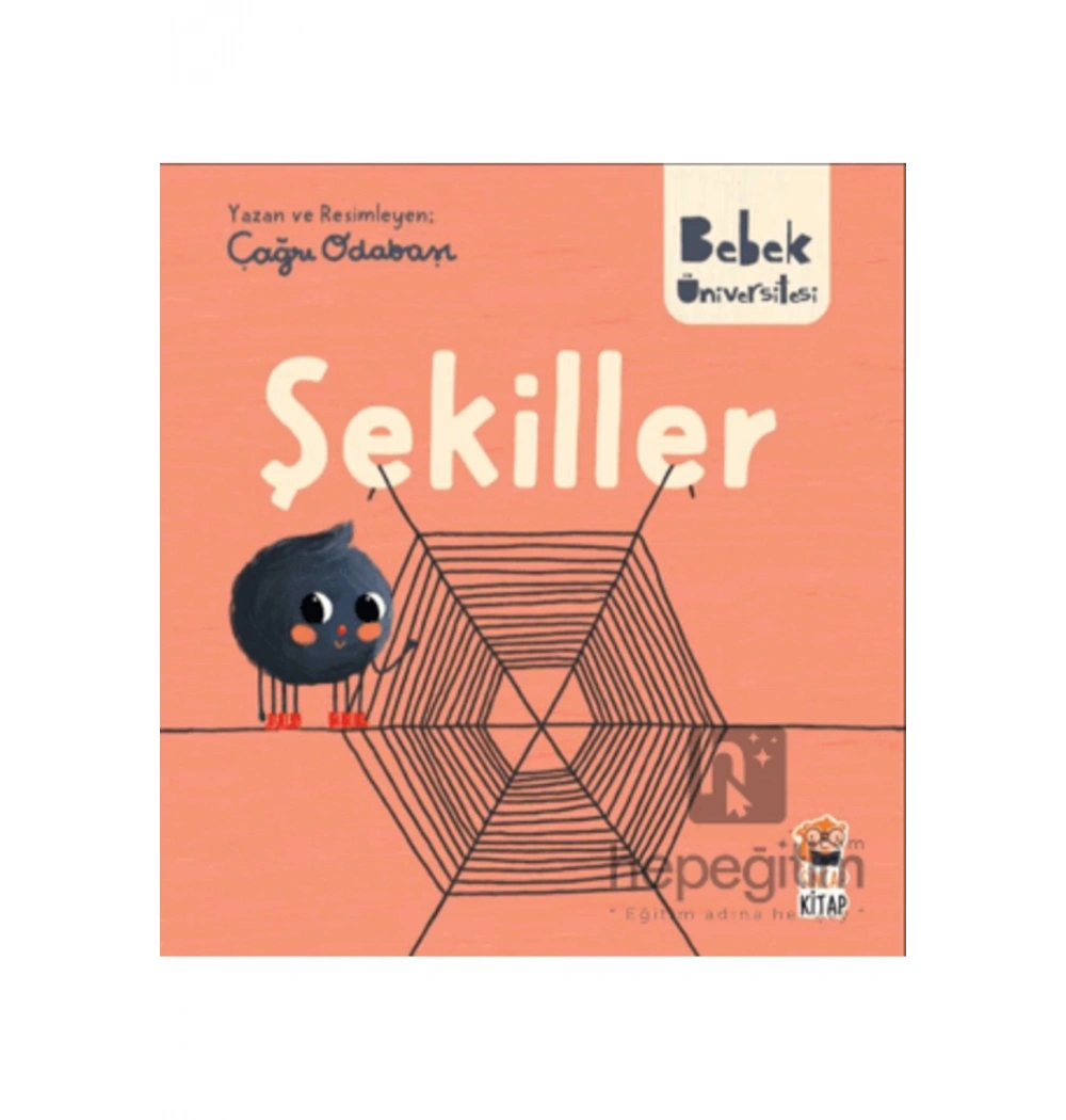Bebek Üniversitesi Şekiller Cep Boy  Sincap Kitap