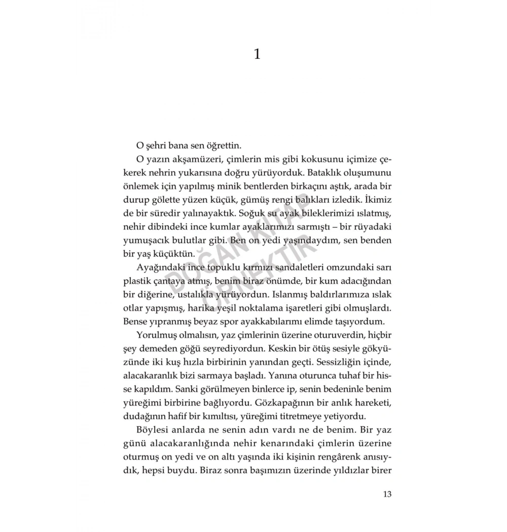 Şehir Ve Belirsiz Duvarları  Murakami  Doğan Kitap