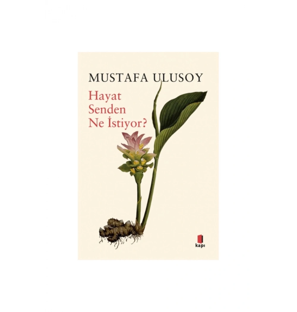 Hayat Senden Ne İstiyor Mustafa Ulusoy Kapı Yayın