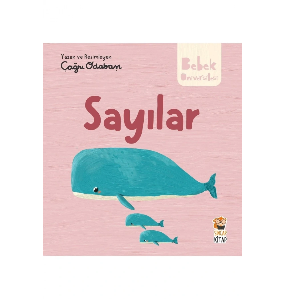 Bebek Üniversitesi Sayılar  Sincap Kitap