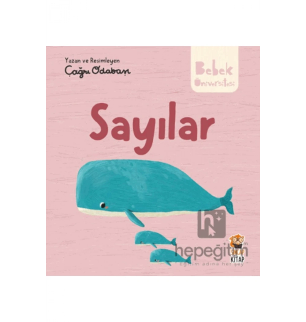 Bebek Üniversitesi Sayılar  Sincap Kitap