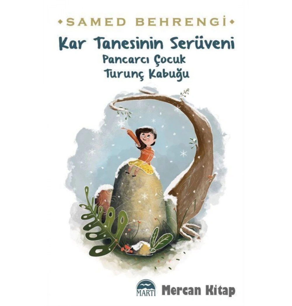 Kar Tanesinin Serüveni Samed Behrengi Martı Çocuk