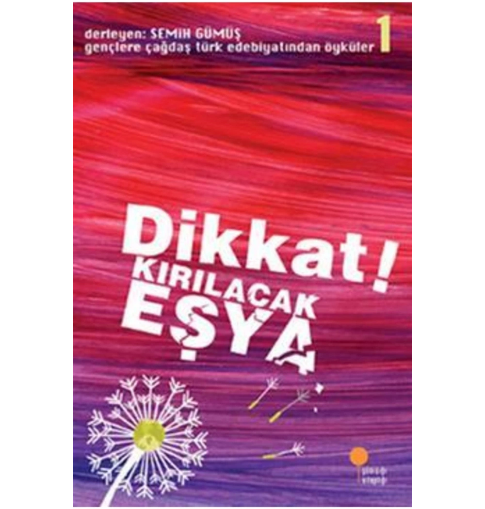 Dikkat Kırılacak Eşya Günışığı