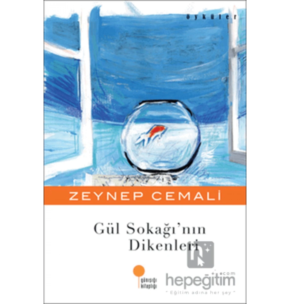 Gül Sokağının  Dikenleri    Zeynep Cemali    Günışığı