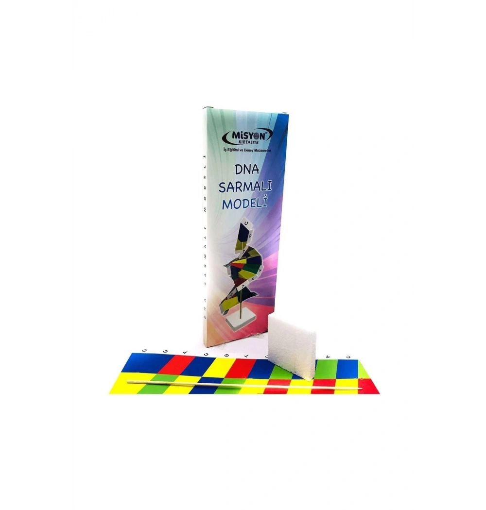 Misyon Dna Sarmalı Modeli