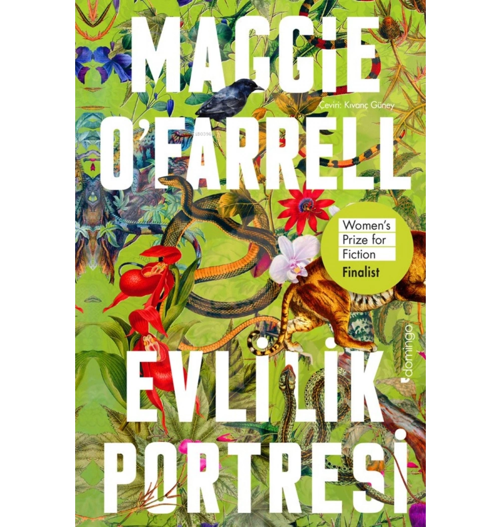 Evlilik Portresi  Maggie Ofarrell   Domingo