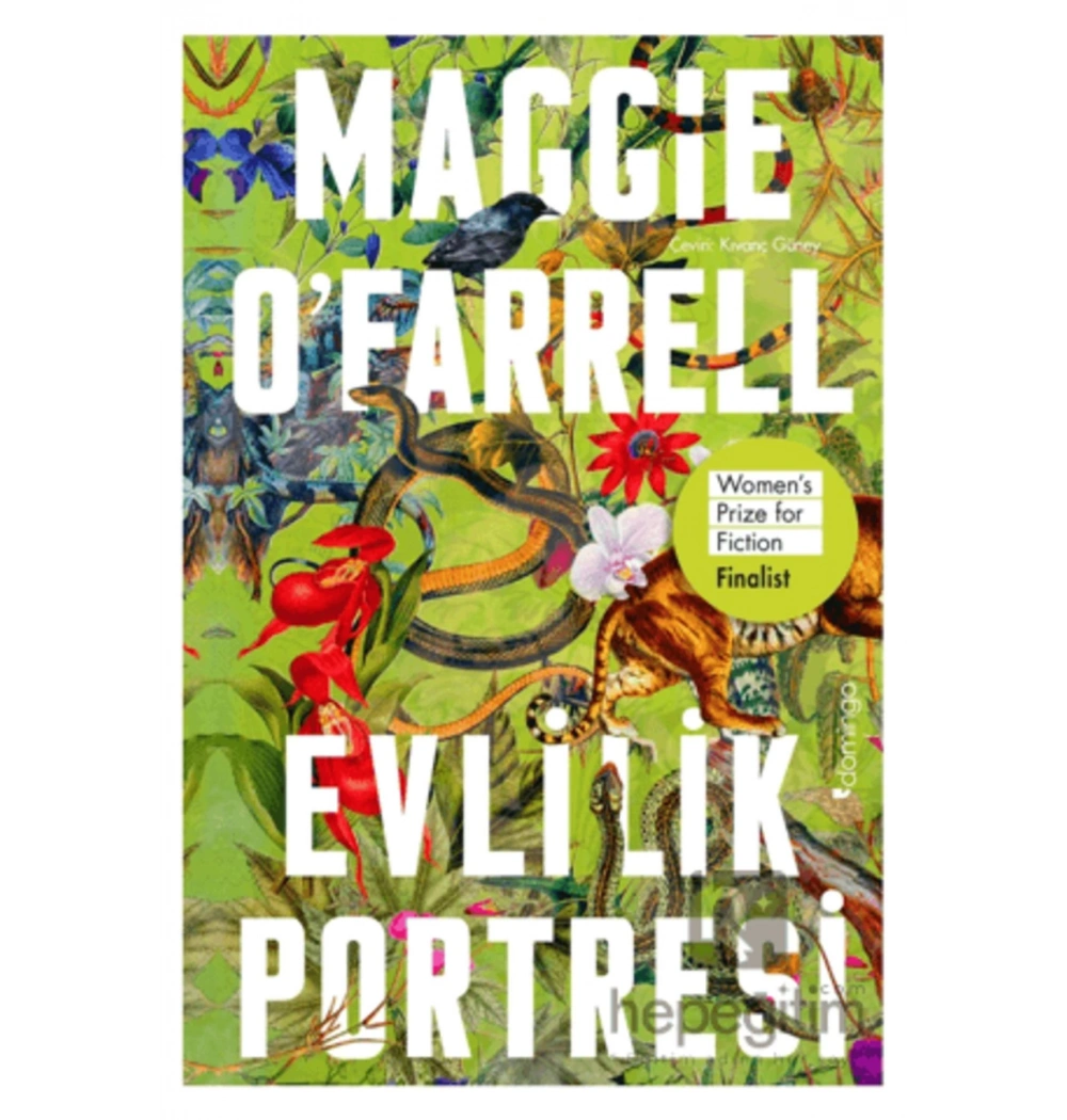 Evlilik Portresi  Maggie Ofarrell   Domingo