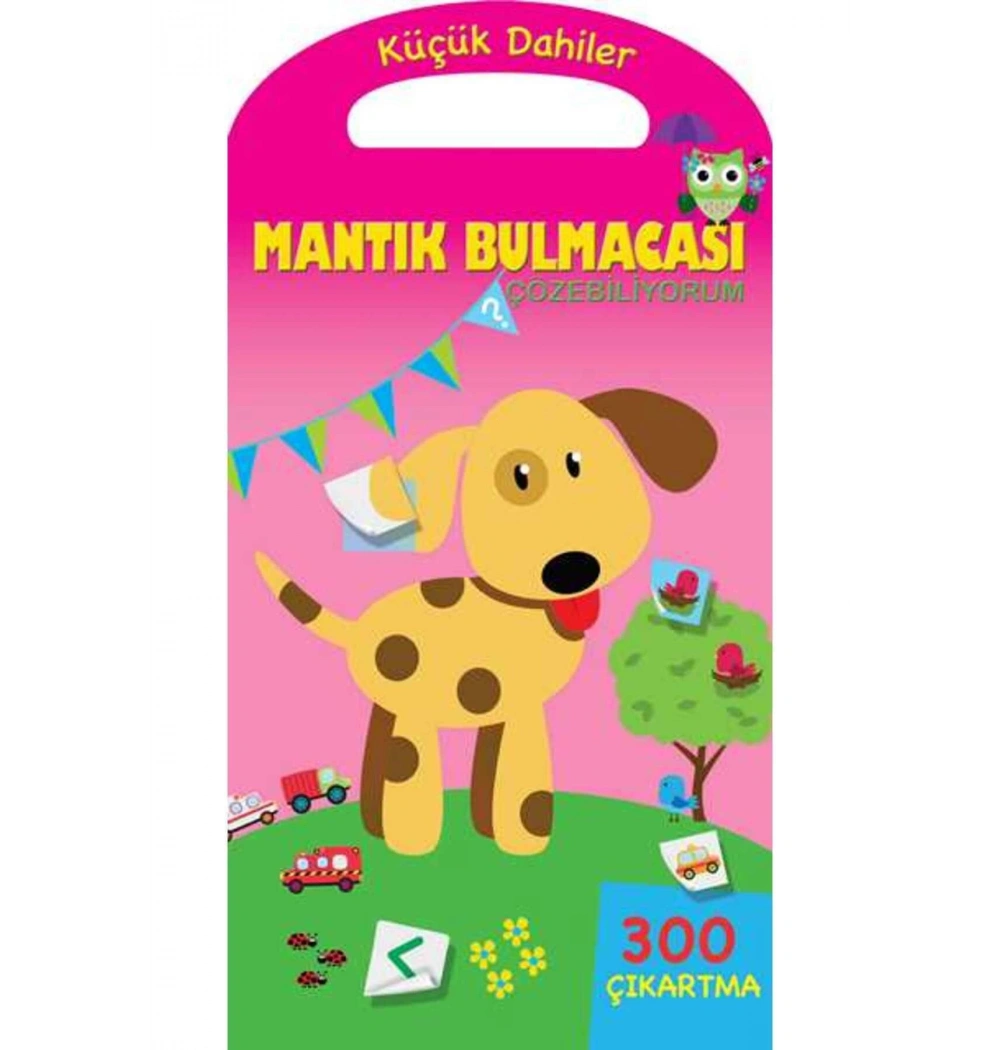 Küçük Dahiler Mantik Bulmacasi Parıltı