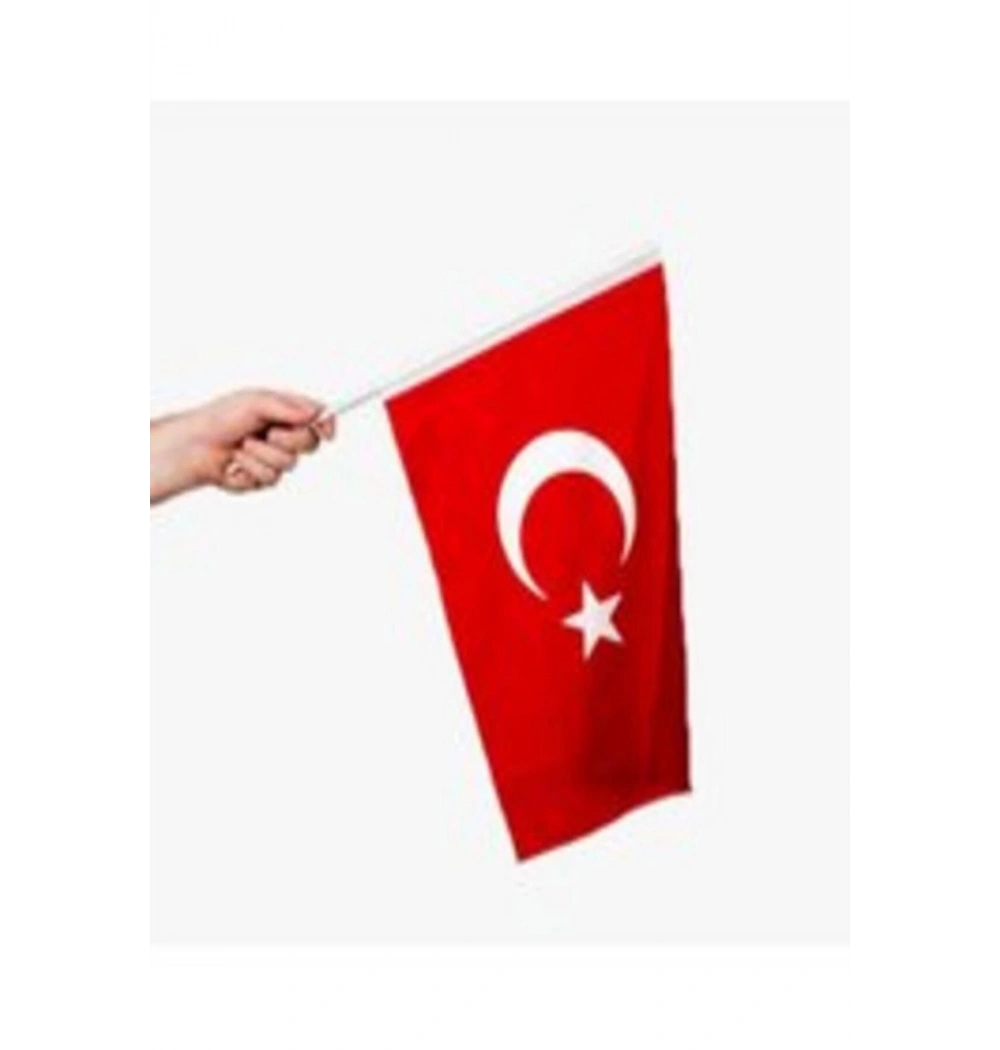 Türk Bayrağı Sopalı  20X30 Alpaka