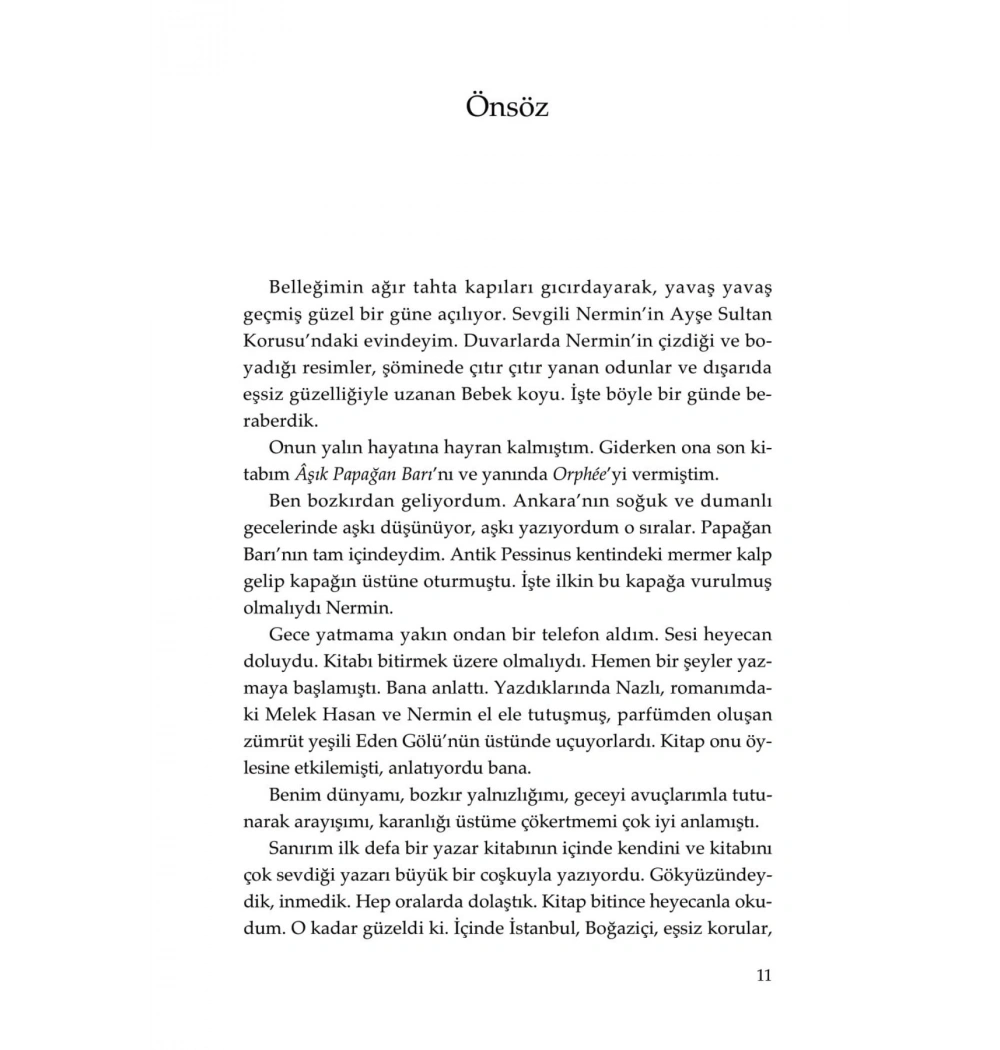 Bir Gece Yolculuğu   Nermin Bezmen  Doğan Kitap