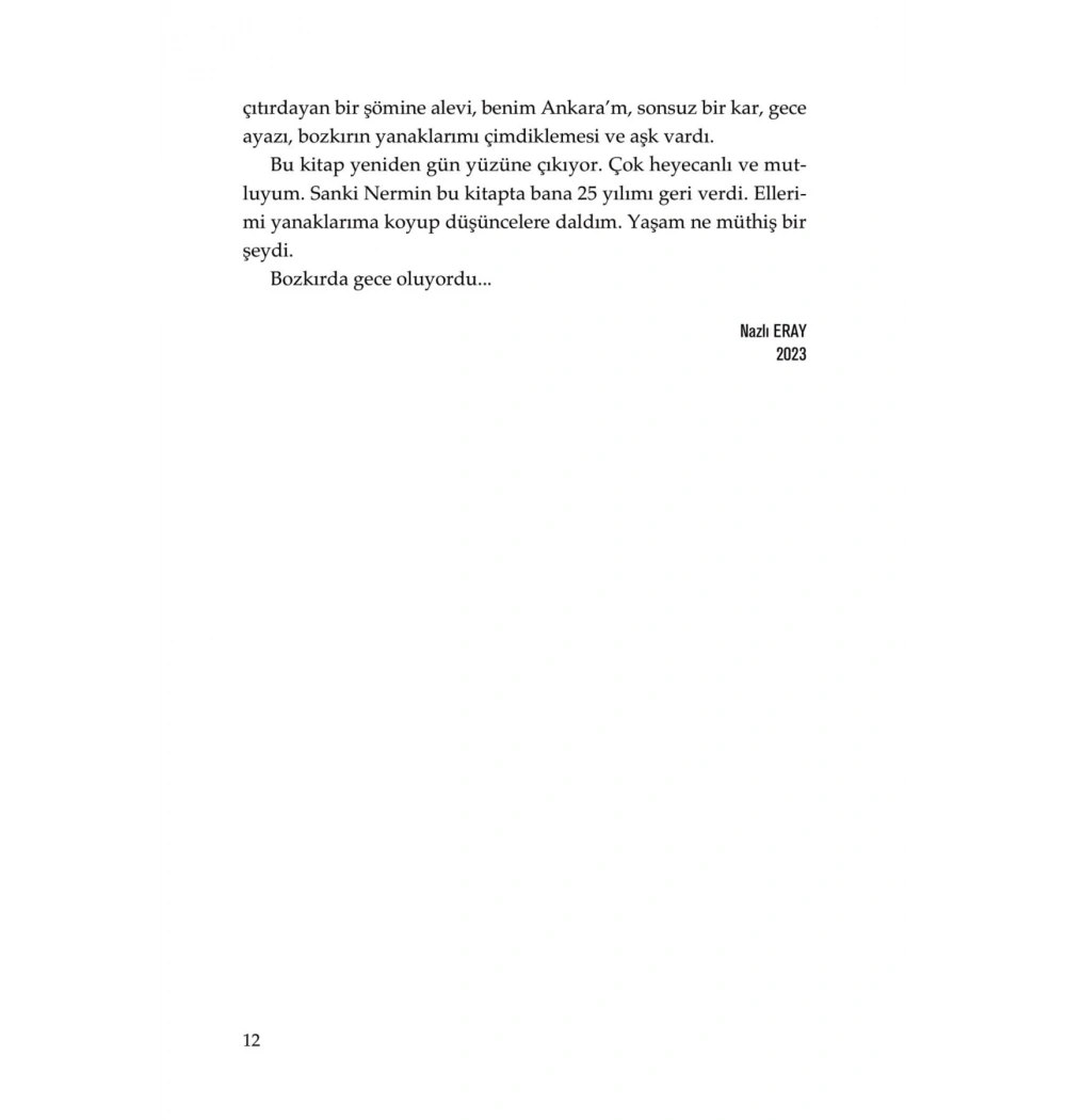 Bir Gece Yolculuğu   Nermin Bezmen  Doğan Kitap