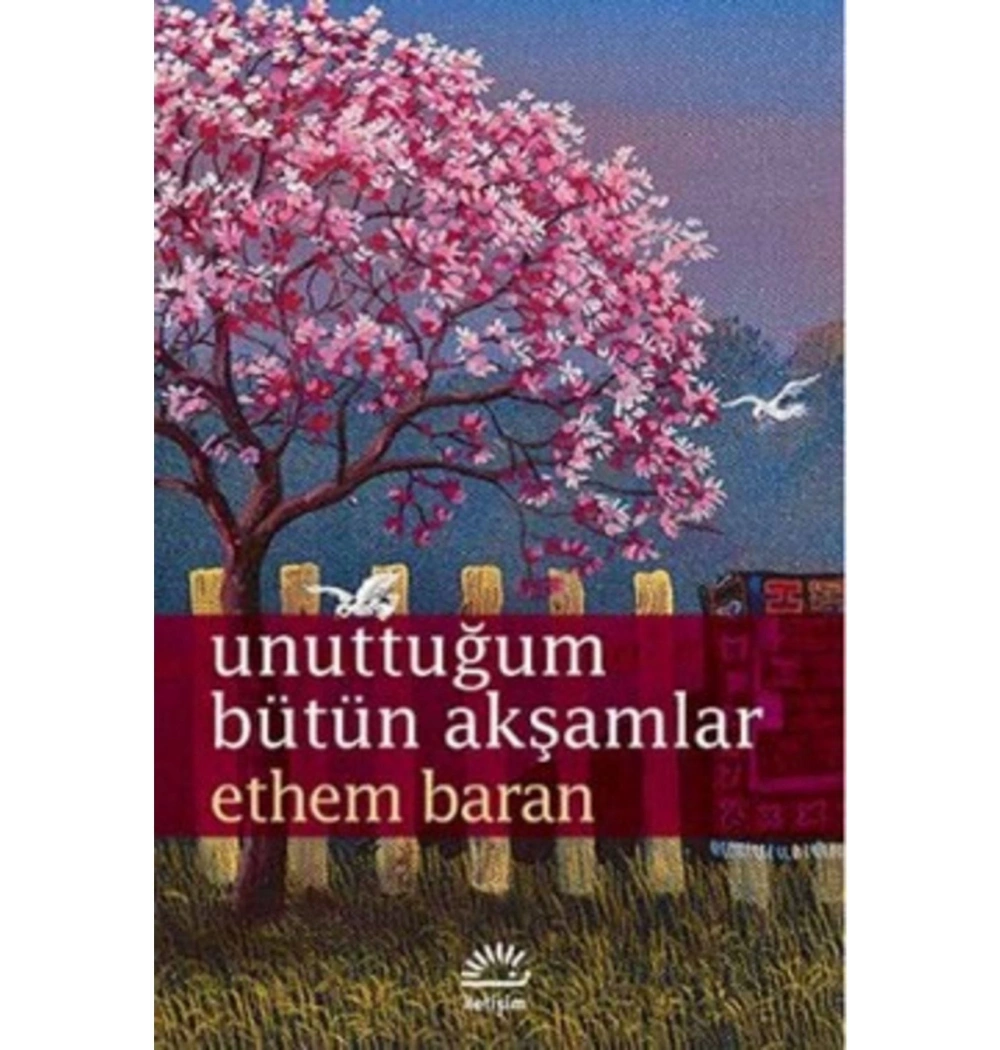 Unuttuğum Bütün Akşamlar  Ethem Baran  İletişim
