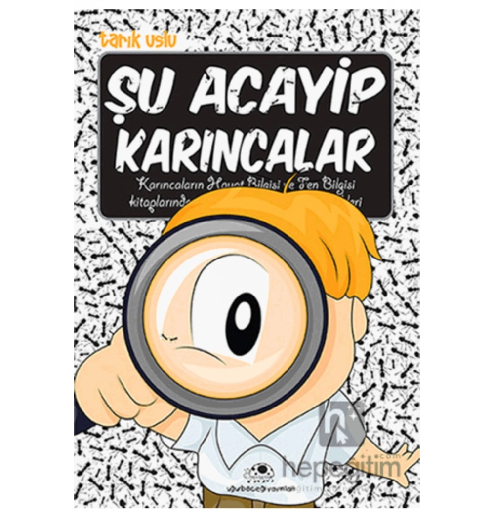 Şu Acayip Karıncalar Uğurböceği