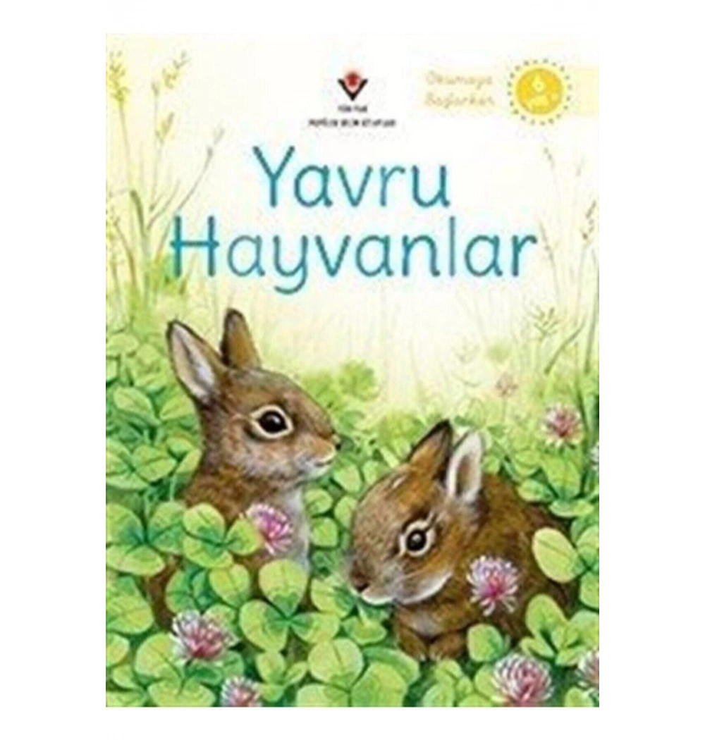 İlkokuma Yavru Hayvanlar Tübitak