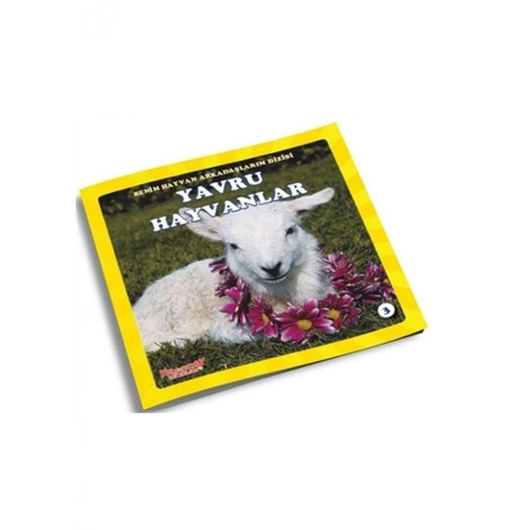 Yavru Hayvanlar   Benim Hayvan Arkadaşlarım  Yumurcak