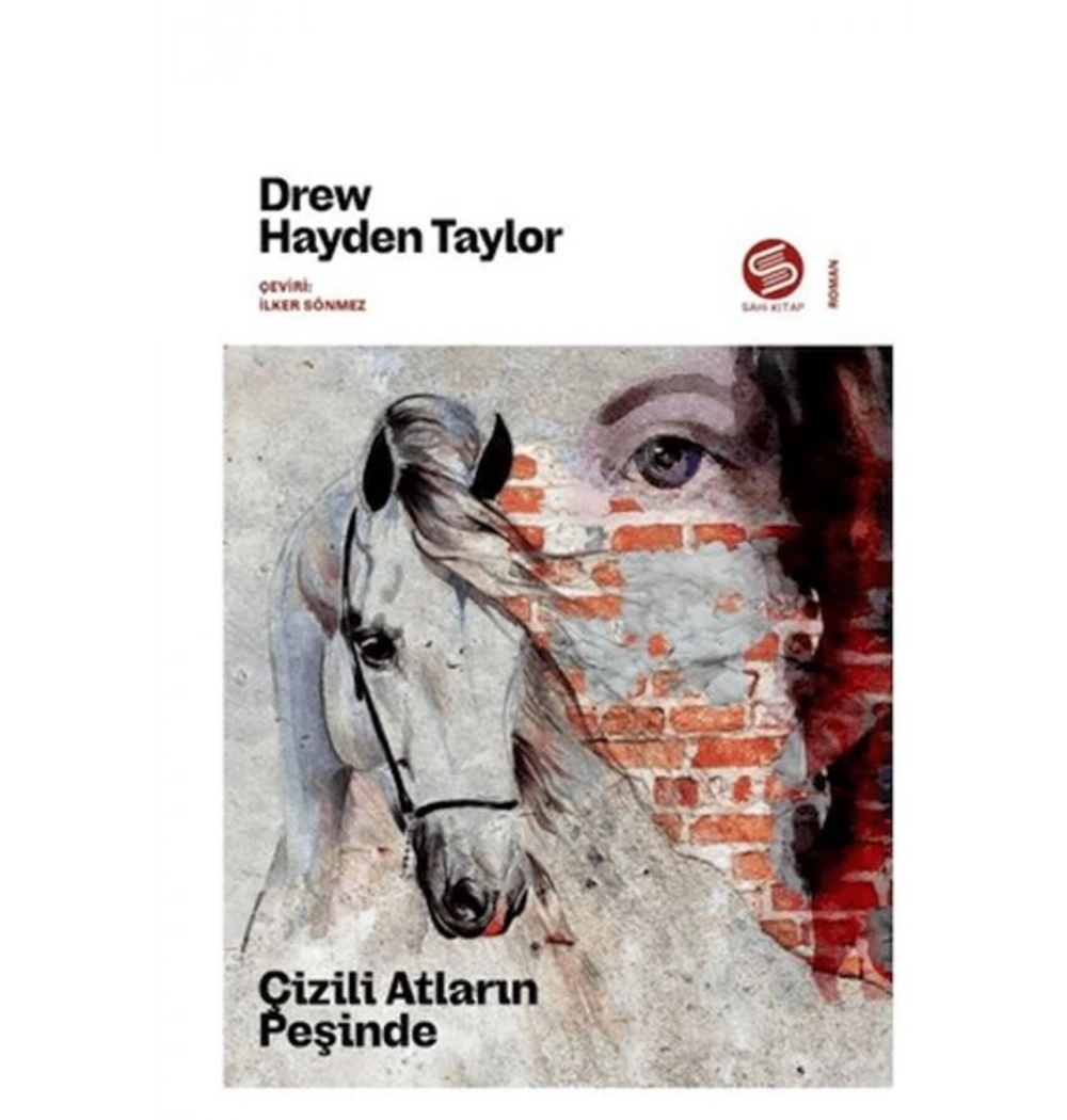 Çizgili Atların Peşinde Sahi Kitap