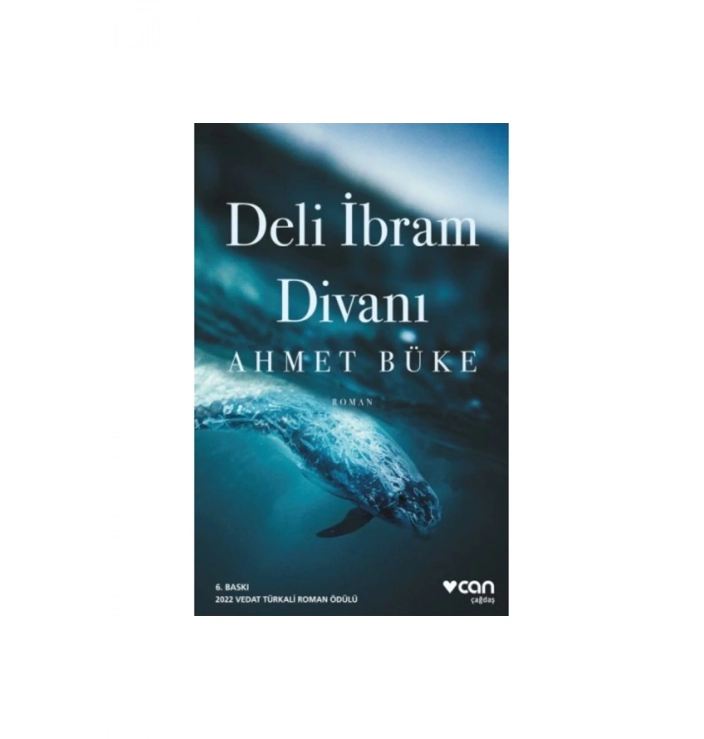 Deli İbrahim Divanı Ahmet Büke Can Yayın