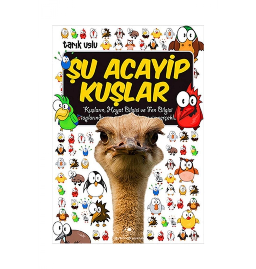 Şu Acayip Kuşlar Uğurböceği
