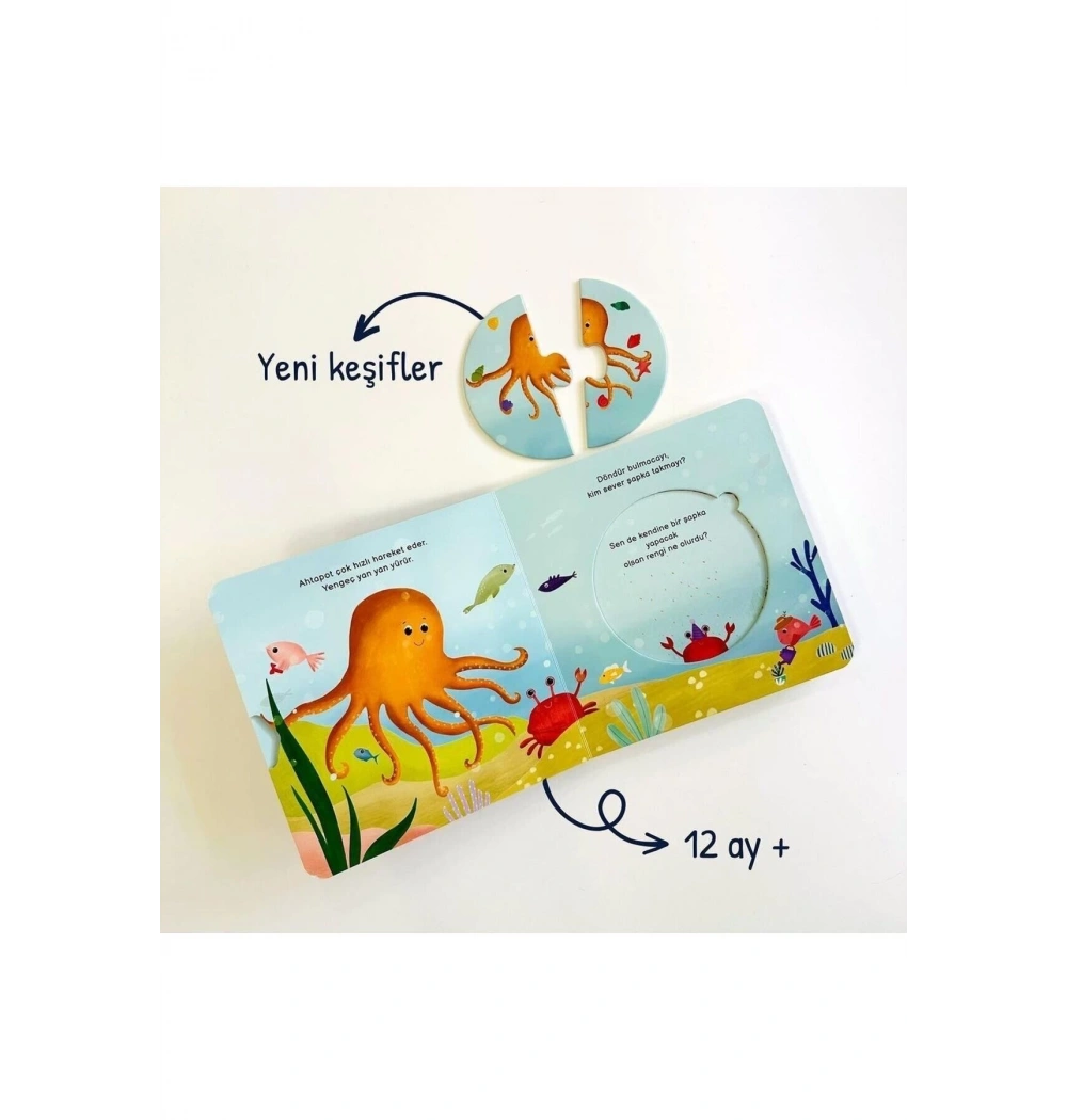 Merakımdan Soruyorum Yap Boz Tahmin Et Okyanus  Sincap Kitap