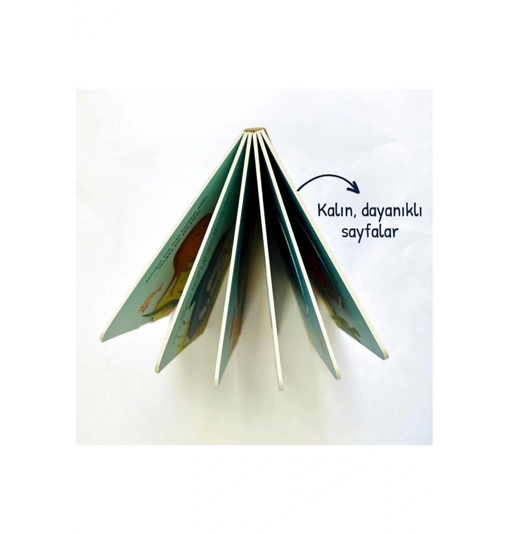 Merakımdan Soruyorum Yap Boz Tahmin Et Okyanus  Sincap Kitap