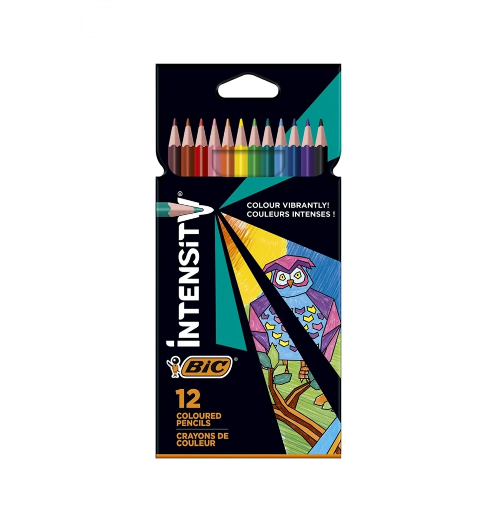 Bic Color Up Kuru Boya12 Renk