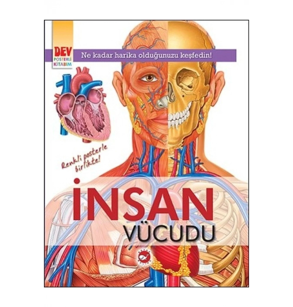 Dev Posterli Kitabım İnsan Vücudud  Beyaz Balina