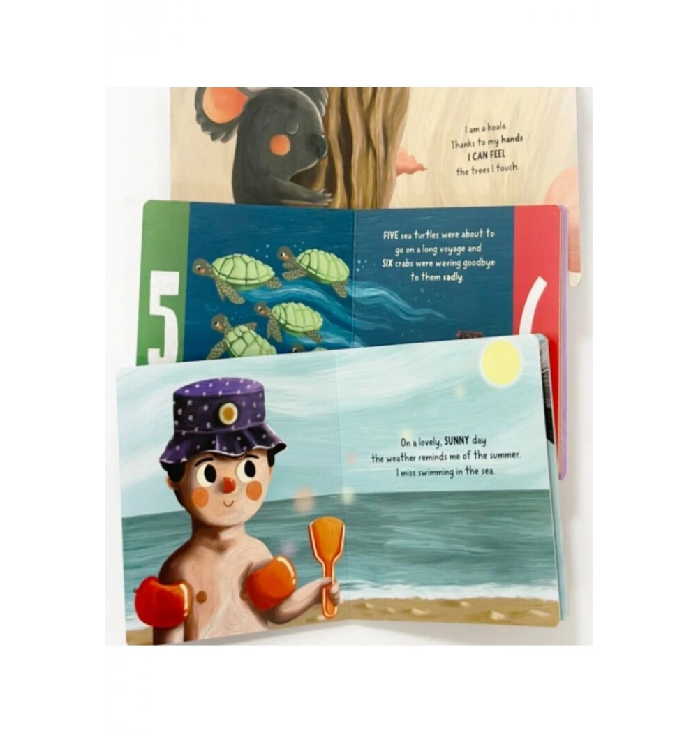 Baby University First Concepts Storıes 2. Set 4 Kitap Sincap Kitapp