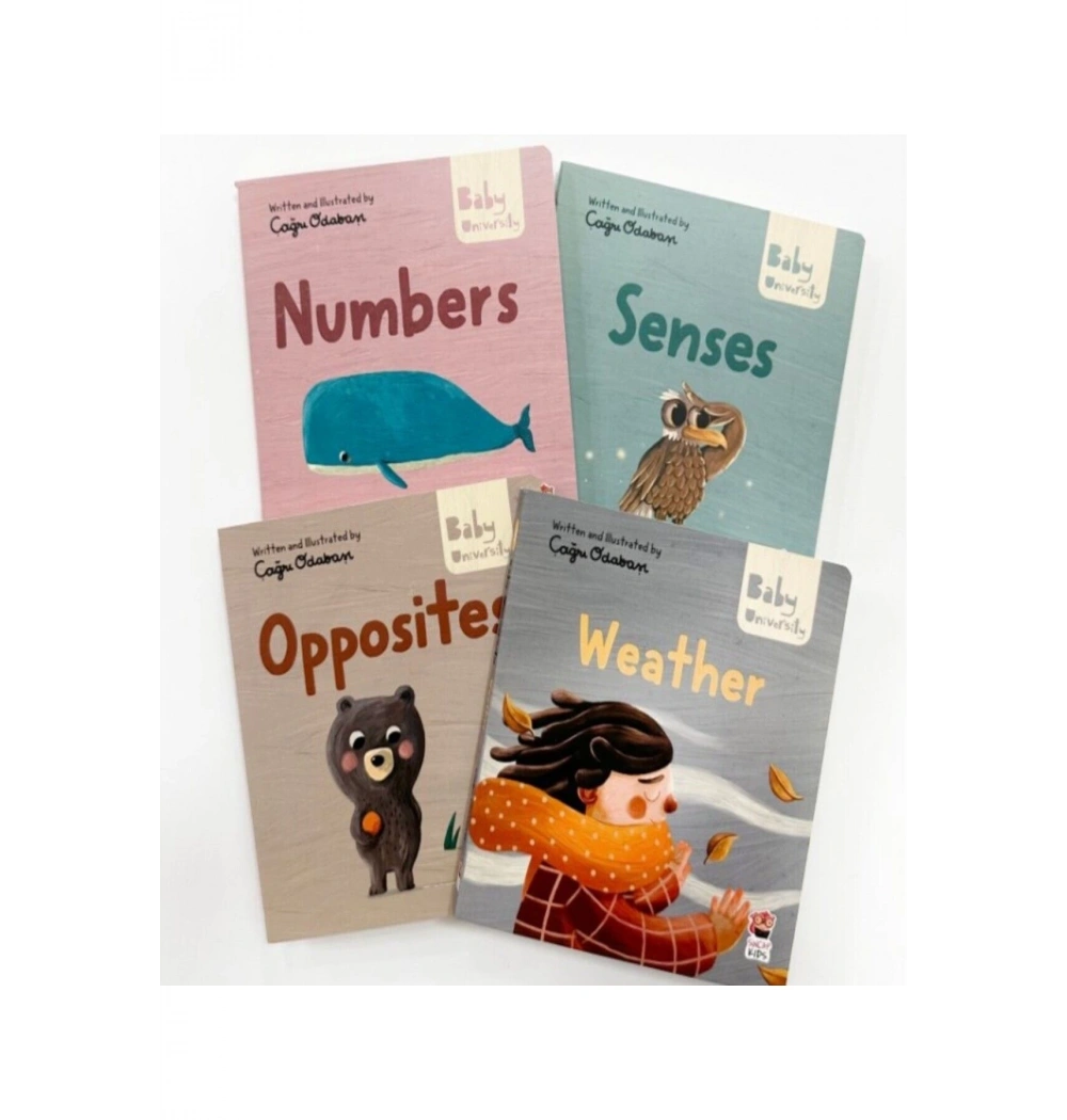 Baby University First Concepts Storıes 2. Set 4 Kitap Sincap Kitapp