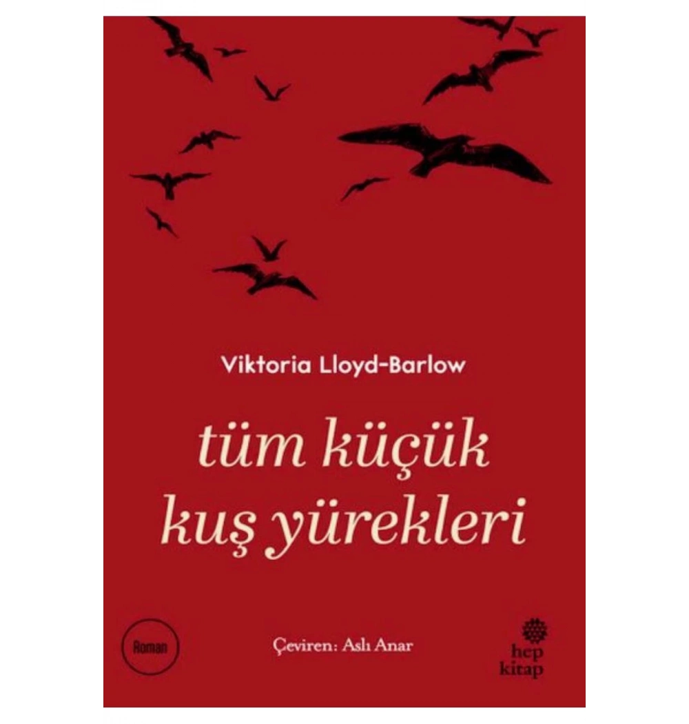 Tüm Küçük Kuş Yürekleri Hepkitap