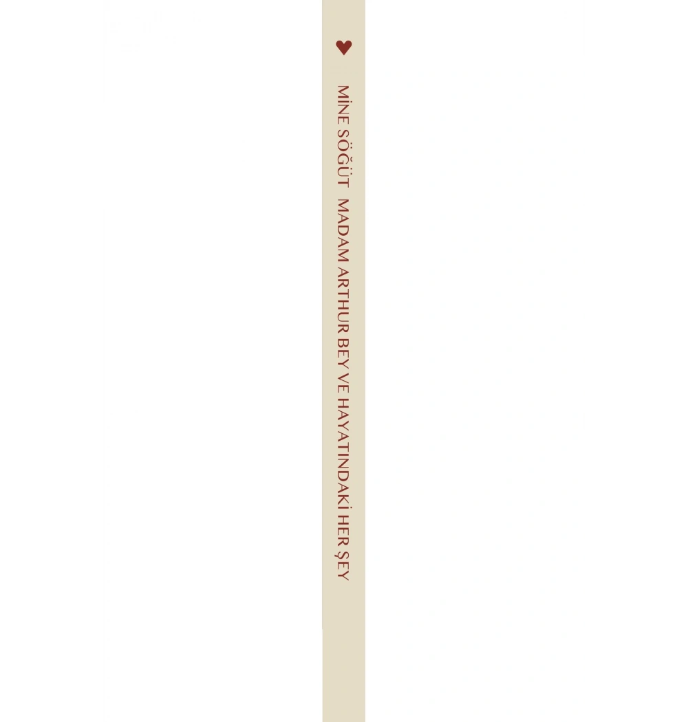 Madam Arthurbey Ve Hayatındaki Herşey Mine Söğüt Can Yayın