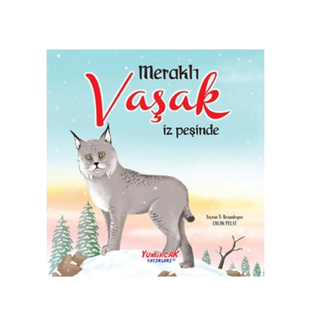 Meraklı Vaşak İz Peşinde Büyük Boy Renkli  Yumurcak