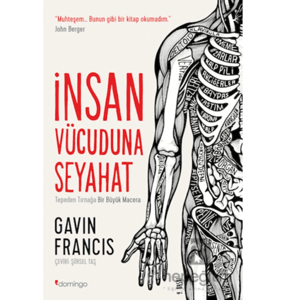 İnsan Vücuduna Seyahat Gavin Francıs - Domingo