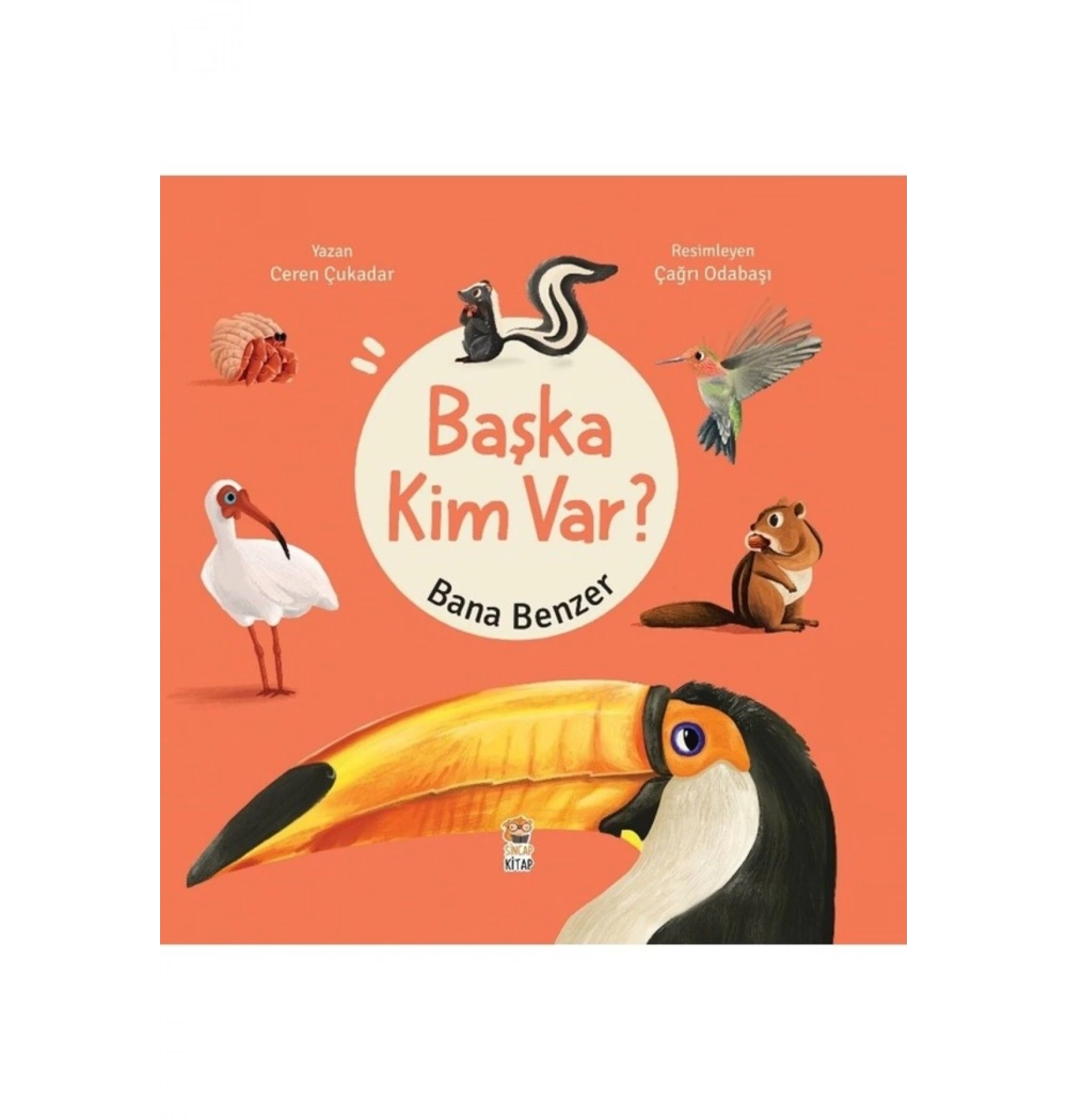 Başka Kim Var Bana Benzer  Sincap Kitap