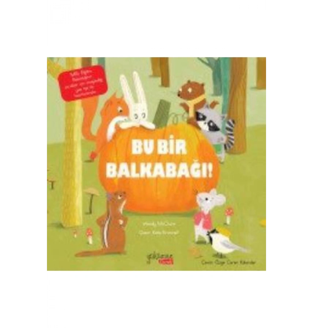 Bu Bir Balkabağı  Yakamoz