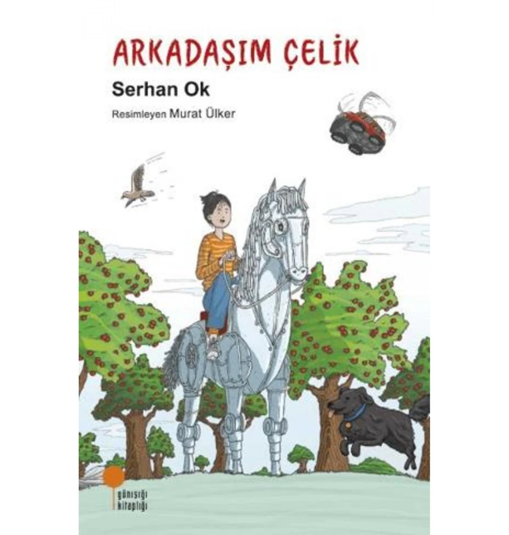 Arkadaşım Çelik Serhan Ok Günışığı