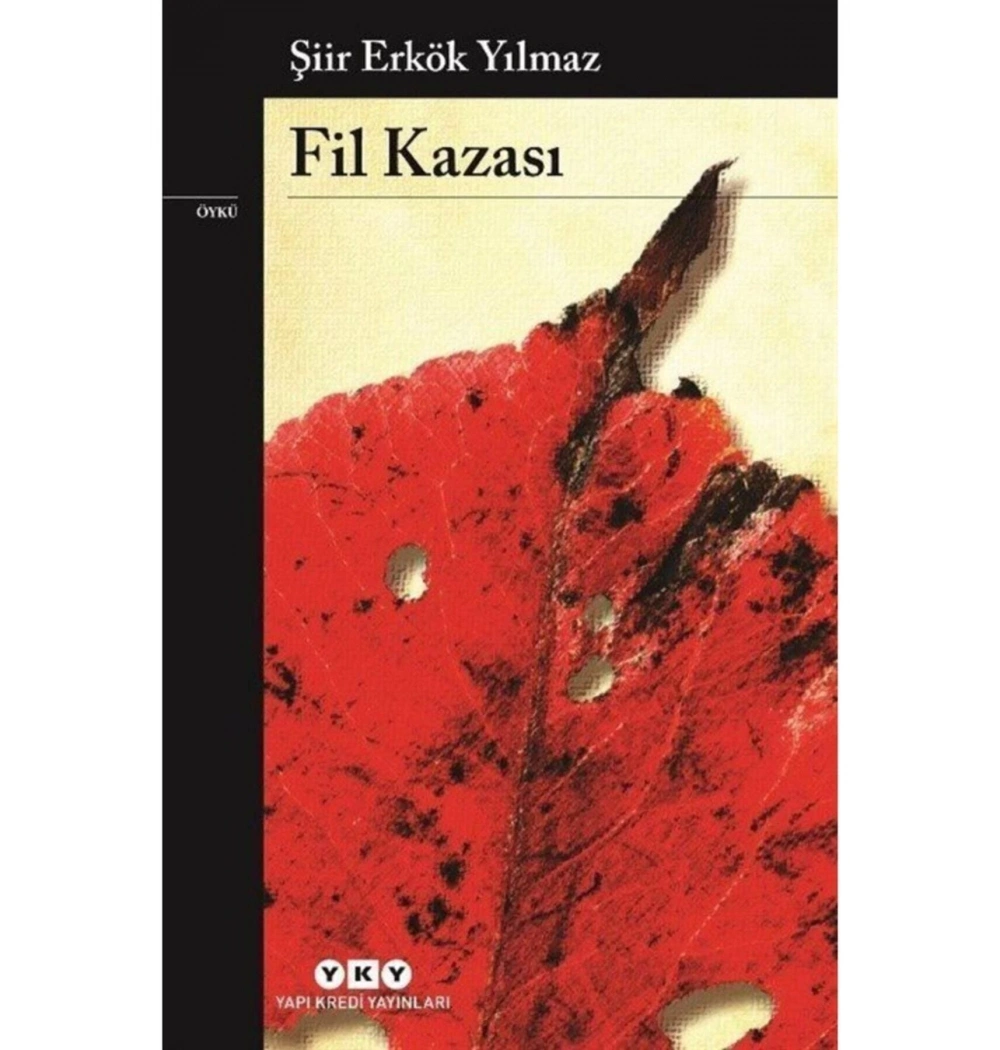 Fil Kazası Şiir Erkök Yılmaz Yapı Kredi