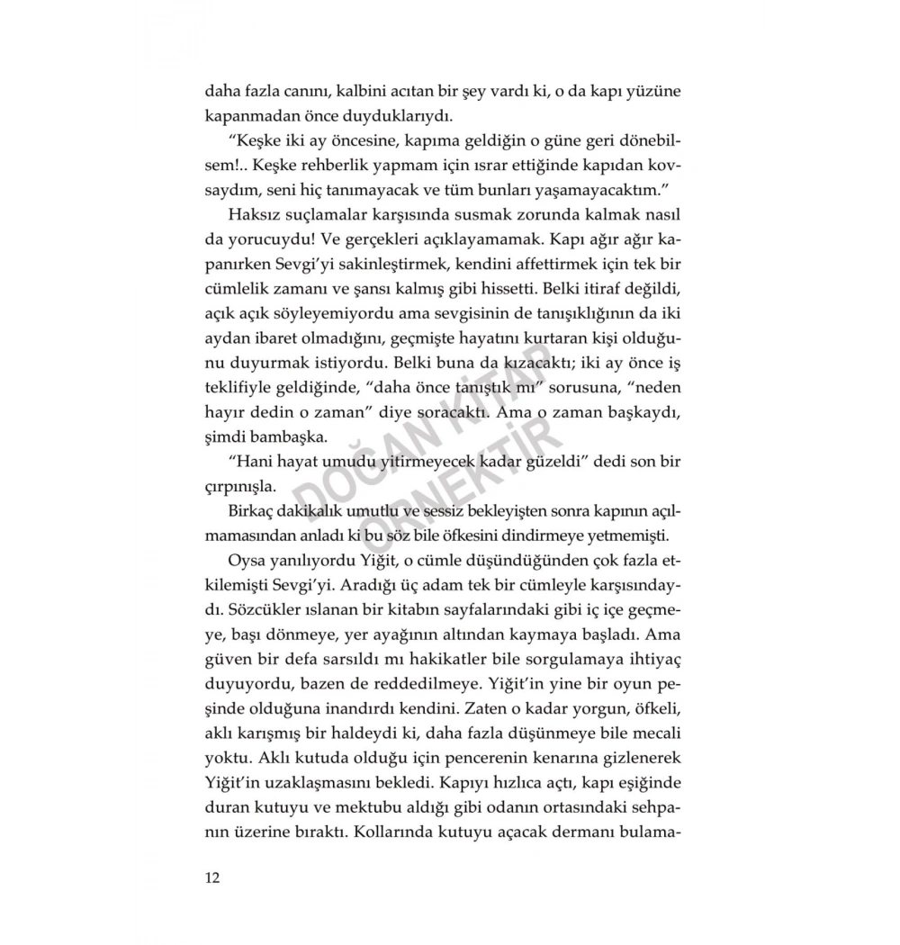 Belki ; Bir Kıbrıs Romanı - Sema Soykan doğan yayın