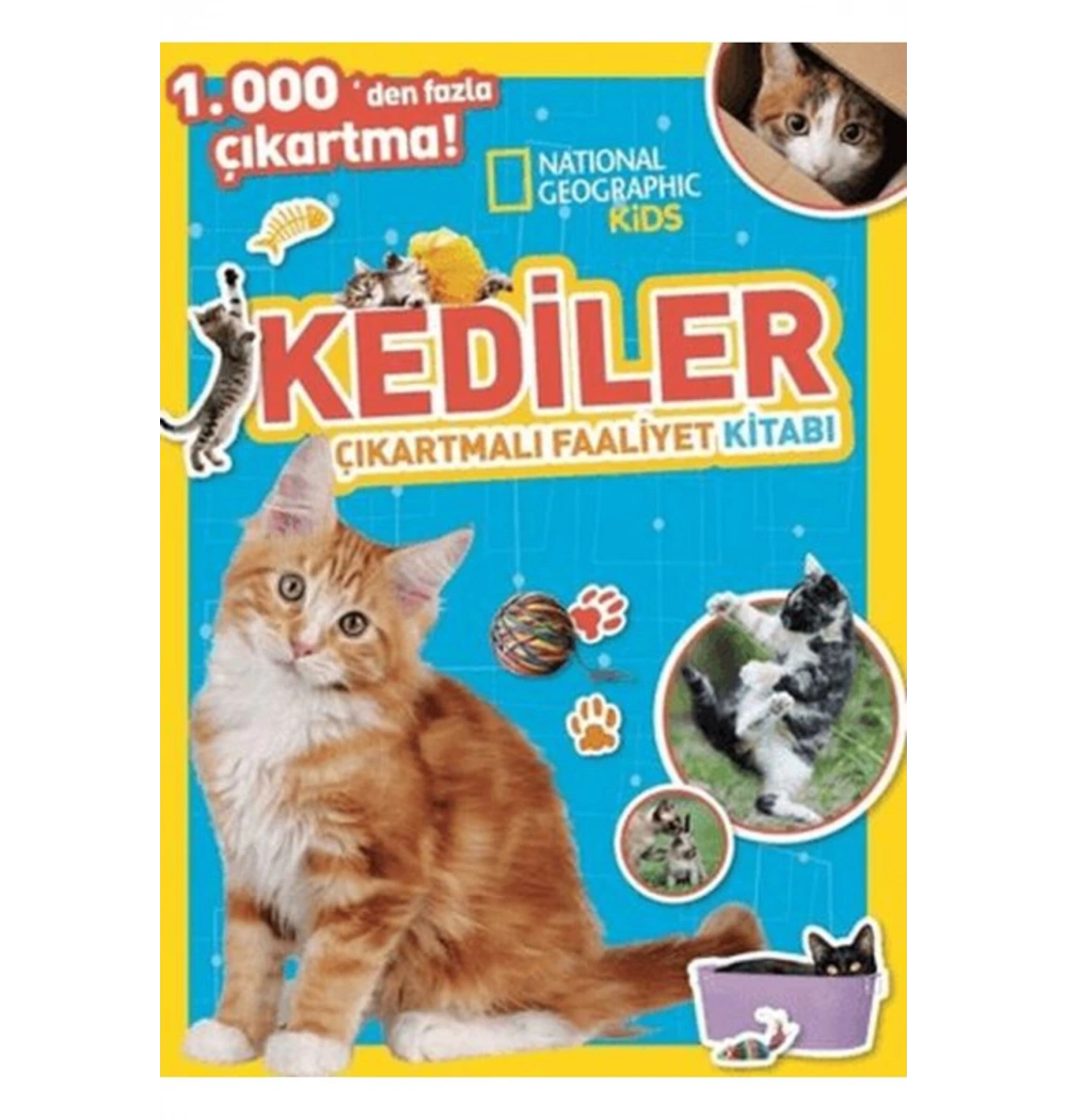 Kediler Çıkartmalı Faaliyet Kitabı Beta Kıds