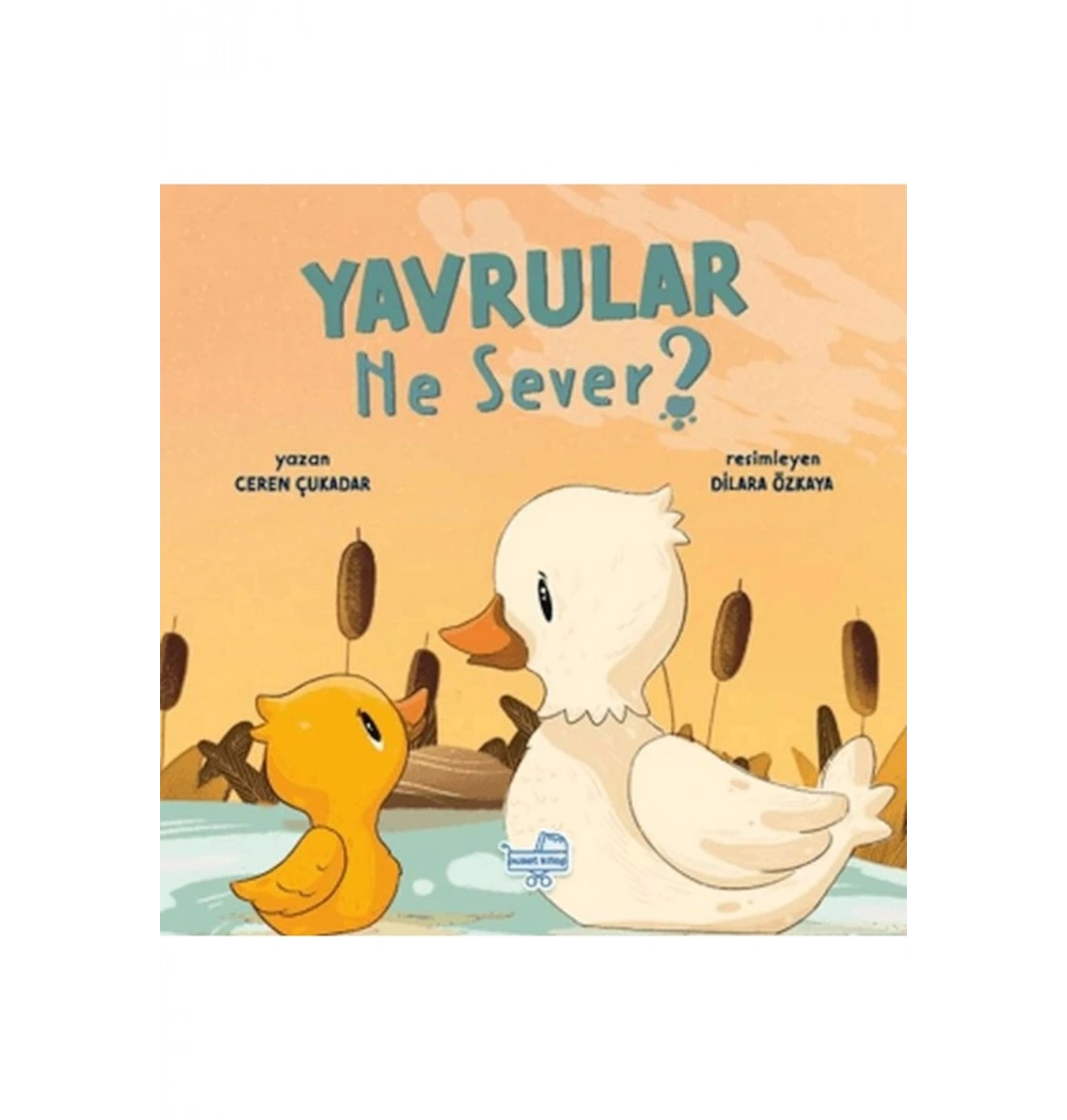 Yavrular Ne Sever Karavan Çocuk