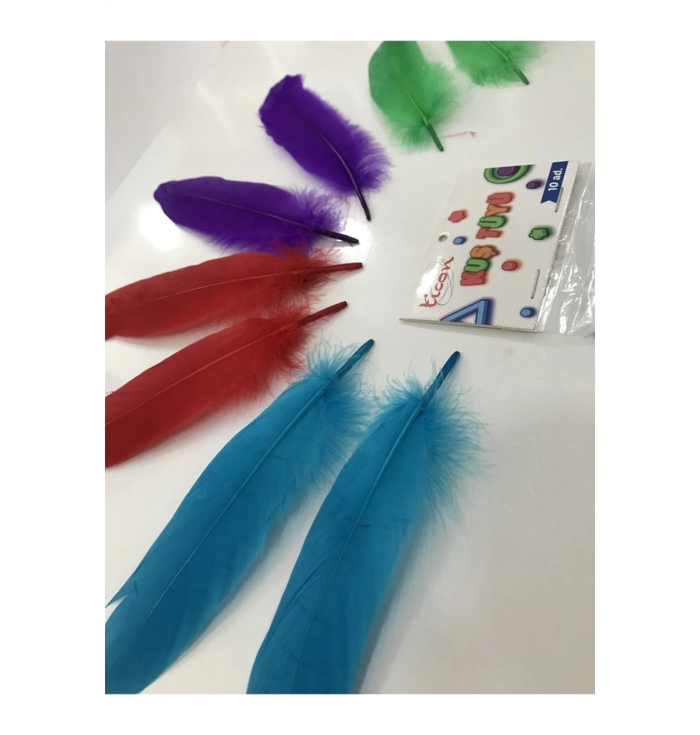 Tıcon Kuş Tüyü -10 Lu Paket  328591