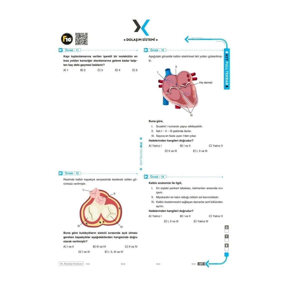 F10 Ayt Biyoloji Full Tekrar Dr.Biyoloji Anlatıyor